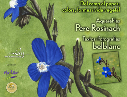 Discovering the Flora of Les Garrigues: from the field to paper